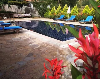 Fethiye Kayaköy'de Huzurlu Doğanın İçinde, Özel Havuzlu, Taş Villa  - 4