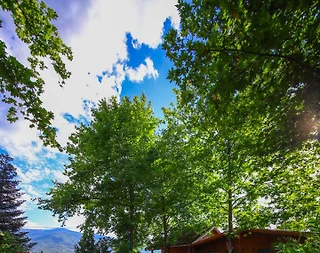 Kocaeli Kartepe'de Elverişli Konumda, Kahvaltı Dahil, Modern Bungalov - 4