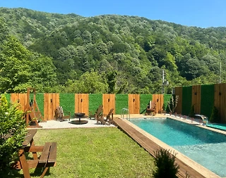 Sapanca'da Huzurlu Doğada, Özel Havuzlu, Konforlu Tiny House - 4