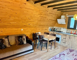 Kumluca Adrasan'da Sessiz Konumda, Isıtmalı Havuzlu, Modern Bungalov - 4