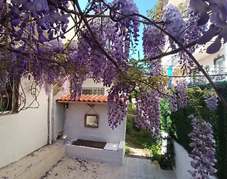 Muğla Marmaris'te Denize Yürüme Mesafesinde, 2+1, Konforlu Ev - 4