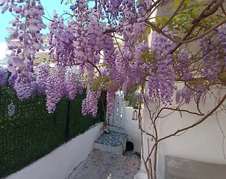 Muğla Marmaris'te Denize Yürüme Mesafesinde, 2+1, Konforlu Ev - 5