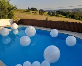 İzmit Çağırgan'da Yeşilliklerle Dolu Doğada, Özel Havuzlu, Kiralık Villa - 3