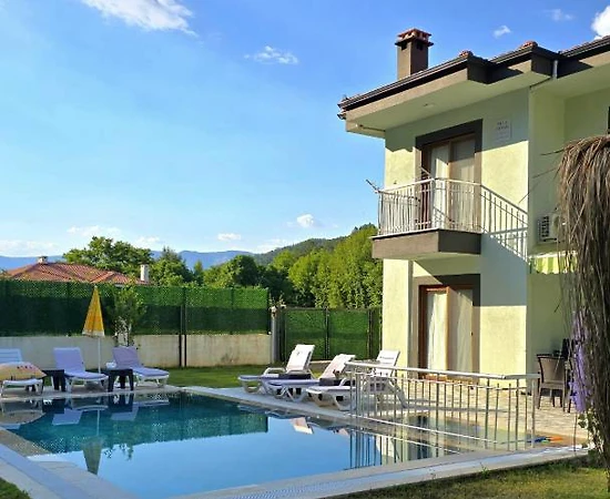 Marmaris Çamlı'da Merkezi Konumda, Özel Havuzlu, Kiralık Villa - 1