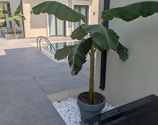 Marmaris Turgut'da Doğa Manzaralı, Özel Havuzlu, 8 Kişilik Villa - 3