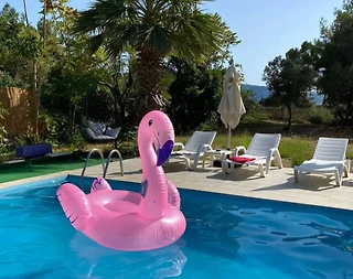 Marmaris Hisarönü'nde Geniş Bahçeli, Özel Havuzlu, Kiralık Villa - 1