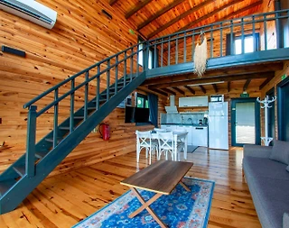 Sapanca Mahmudiye'de Huzurlu Doğada, Isıtmalı Havuzlu, Ahşap Villa - 5