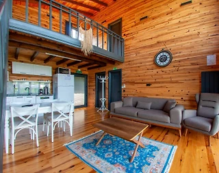 Sapanca Mahmudiye'de Huzurlu Doğada, Isıtmalı Havuzlu, Ahşap Villa - 4