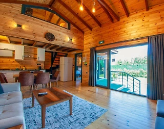 Sapanca Mahmudiye'de Sakin Konumda, Özel Havuzlu, 2+1 Villa - 4