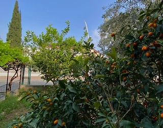 Kemer Merkez'de Muhteşem Doğa İçerisinde, 5 Kişilik, Tatil Evi - 1