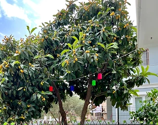 Kemer Merkez'de Muhteşem Doğa İçerisinde, 5 Kişilik, Tatil Evi - 2