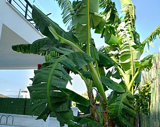 Muğla Dalaman'da Merkezi Konumda, Özel Havuzlu, 4+1 Villa - 4