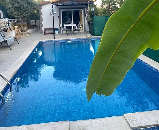 Muğla Eldirek'te Balayı Çiftlerine Uygun, Özel Havuzlu, Kırsal Villa - 1