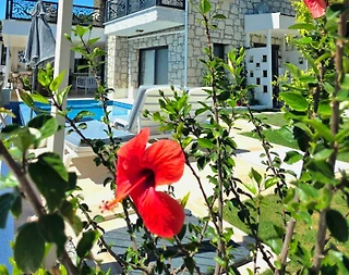 Muğla Marmaris'te Deniz ve Doğa Manzaralı, Özel Havuzlu, Kiralık Villa - 1
