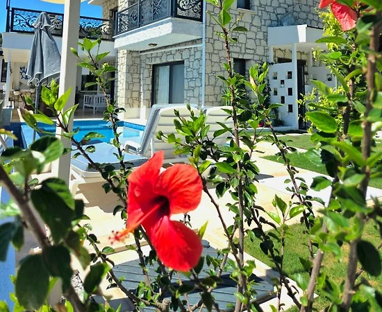 Muğla Marmaris'te Deniz ve Doğa Manzaralı, Özel Havuzlu, Kiralık Villa - 1