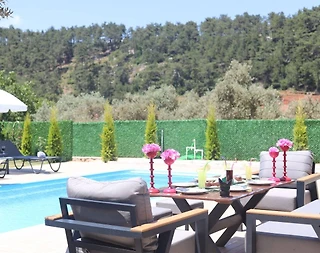 Muğla Menteşe'de Konforlu Tasarımlı, Özel Havuzlu, 3+1 Villa - 2