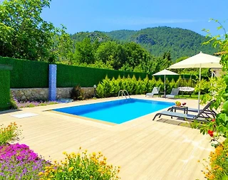 Fethiye Kayaköy'de Muhteşem Doğada, Özel Havuzlu, Modern Villa - 3