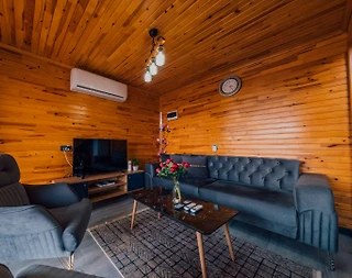 Sapanca Nailiye'de Doğa İçerisinde, Özel Havuzlu, Modern Bungalov - 4