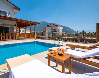 Fethiye Ölüdeniz'de Geniş Bahçeli, Özel Havuzlu, Modern Villa - 5