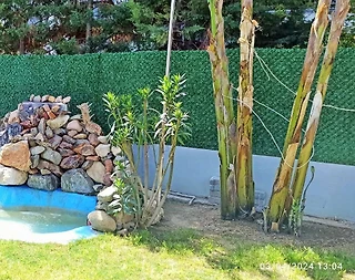 Kuşadası Güzelçamlı'da Özel Havuzlu, Özel Bahçeli, Dubleks Villa - 4