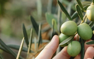 pexels-gary-barnes-6231906-1-960x400 (1).jpg