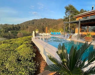 Rize Fındıklı'da Muhteşem Doğada, Özel Havuzlu, 6 Kişilik Villa - 1