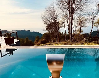 Rize Fındıklı'da Muhteşem Doğada, Özel Havuzlu, 6 Kişilik Villa - 4