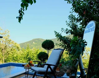 Sapanca Şükriye'de Doğayla İç İçe, Özel Havuzlu, Kiralık Dağ Evi - 4