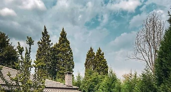 Sapanca'da Harika Doğada, Özel Havuzlu, Jakuzili, Kiralık Villa