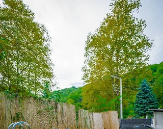 Sakarya Sapanca'da Mükemmel Doğada, Jakuzili, Şık Bungalov - 4