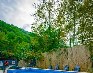 Sakarya Sapanca'da Mükemmel Doğada, Jakuzili, Şık Bungalov - 2