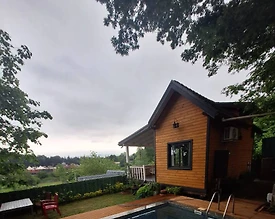 Sakarya Sapanca'da Enfes Orman Manzaralı, Müstakil Bahçeli, Tiny House - 2