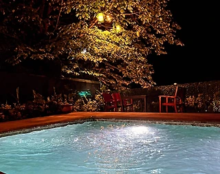 Sakarya Sapanca'da Enfes Orman Manzaralı, Müstakil Bahçeli, Tiny House - 4