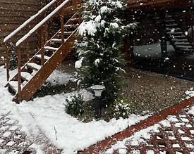 Sapanca Kuruçeşme'de Huzurlu Doğada, Özel Havuzlu, Lüks Bungalov - 2