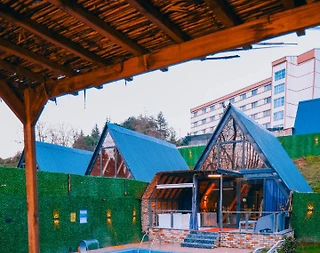 Sapanca Gazipaşa'da Doğa İle İç İçe, Isıtmalı Havuzlu, 2+1 Bungalov - 1