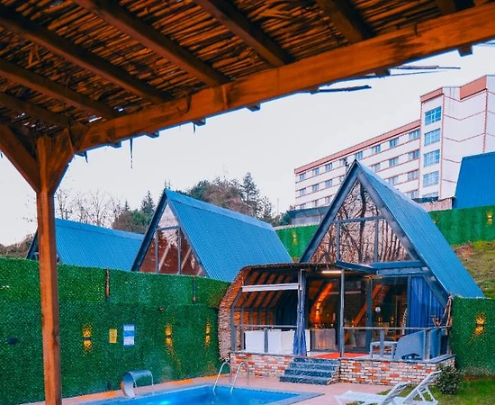 Sapanca Gazipaşa'da Doğa İle İç İçe, Isıtmalı Havuzlu, 2+1 Bungalov - 1