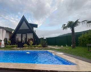 Sapanca Gazipaşa'da Nefes Kesici Doğada, Özel Havuzlu, Ferah Bungalov - 1