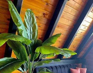 Sapanca Gazipaşa'da Nefes Kesici Doğada, Özel Havuzlu, Ferah Bungalov - 5