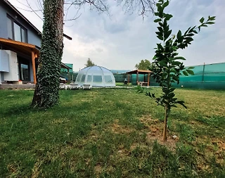 Sapanca Göl'de Geniş Bahçeli, Isıtmalı Havuzlu, Konforlu Villa - 5