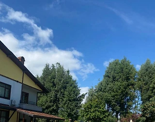 Sapanca'da Kalabalık Ailelere Uygun, Ortak Havuzlu, Konforlu Villa - 3