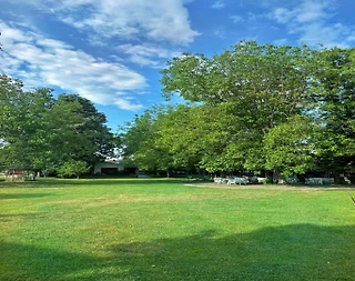 Sapanca Kırkpınar'da Dağ Manzaralı, Ortak Havuzlu, Şirin Villa - 2