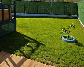 Sapanca Kırkpınar'da Doğa İçerisinde, Bahçeli, 2 Kişilik Bungalov - 2