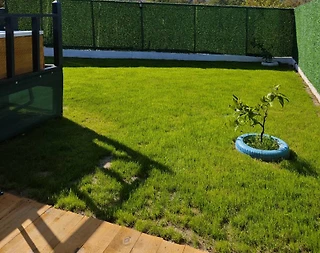 Sapanca Kırkpınar'da Doğa İçerisinde, Bahçeli, 2 Kişilik Bungalov - 2