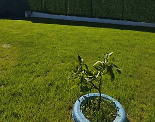 Sapanca Kırkpınar'da Doğa İçerisinde, Bahçeli, 2 Kişilik Bungalov - 3