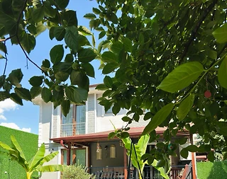 Sapanca Kırkpınar'da Doğa İle İç İçe, Özel Havuzlu, Ferah Villa - 1