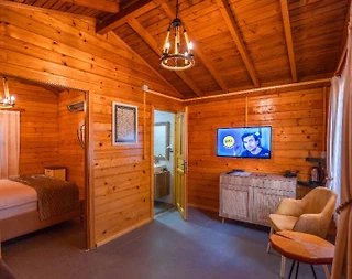 Sapanca Kırkpınar'da Doğayla Baş Başa, Serinleme Havuzlu, Şık Bungalov - 3