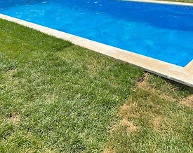 Sapanca Kırkpınar'da Merkeze Yakın, Isıtmalı Havuzlu, Kiralık Villa - 3