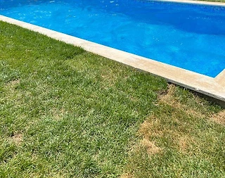 Sapanca Kırkpınar'da Merkeze Yakın, Isıtmalı Havuzlu, Kiralık Villa - 3