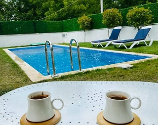 Sapanca Kırkpınar'da Merkeze Yakın, Isıtmalı Havuzlu, Kiralık Villa - 4