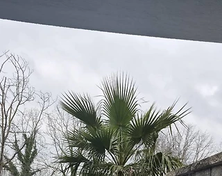 Sapanca Kırkpınar'da Sakin Konumda, Isıtmalı Havuzlu, Kiralık Villa - 5